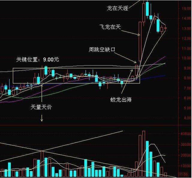 特朗普重申不会抛售股票，市场稳定与个人投资策略考量分析