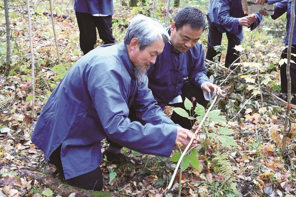 吉林重塑人参产业信誉，整治问题人参保障民众健康