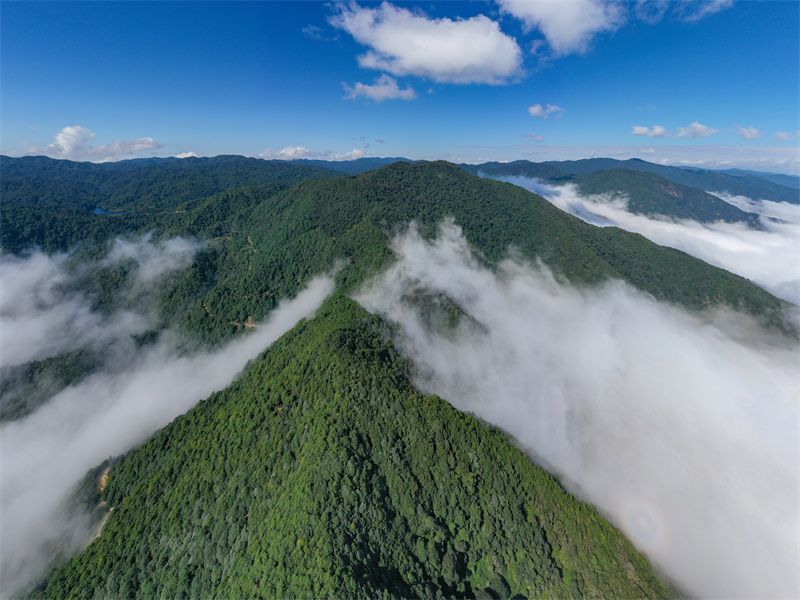 哀牢山，自然魅力与人文探索之旅