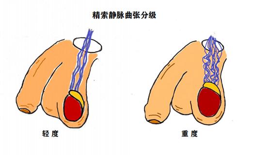 男科，共建幸福生活，守护男性健康