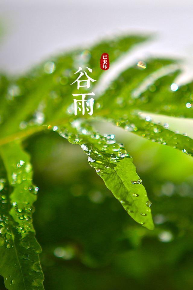 谷雨时节，滋润大地，新生孕育启航