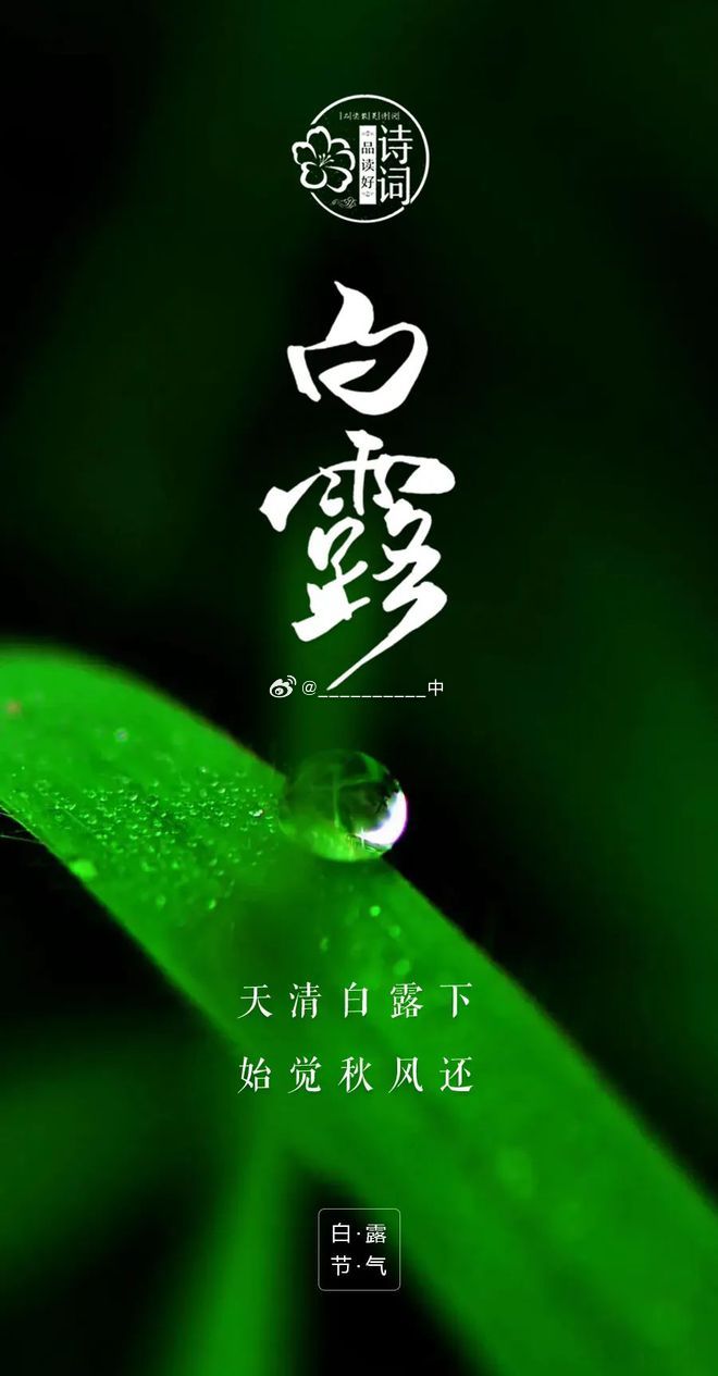 白露时节，秋意浓，自然之韵的诗意绽放