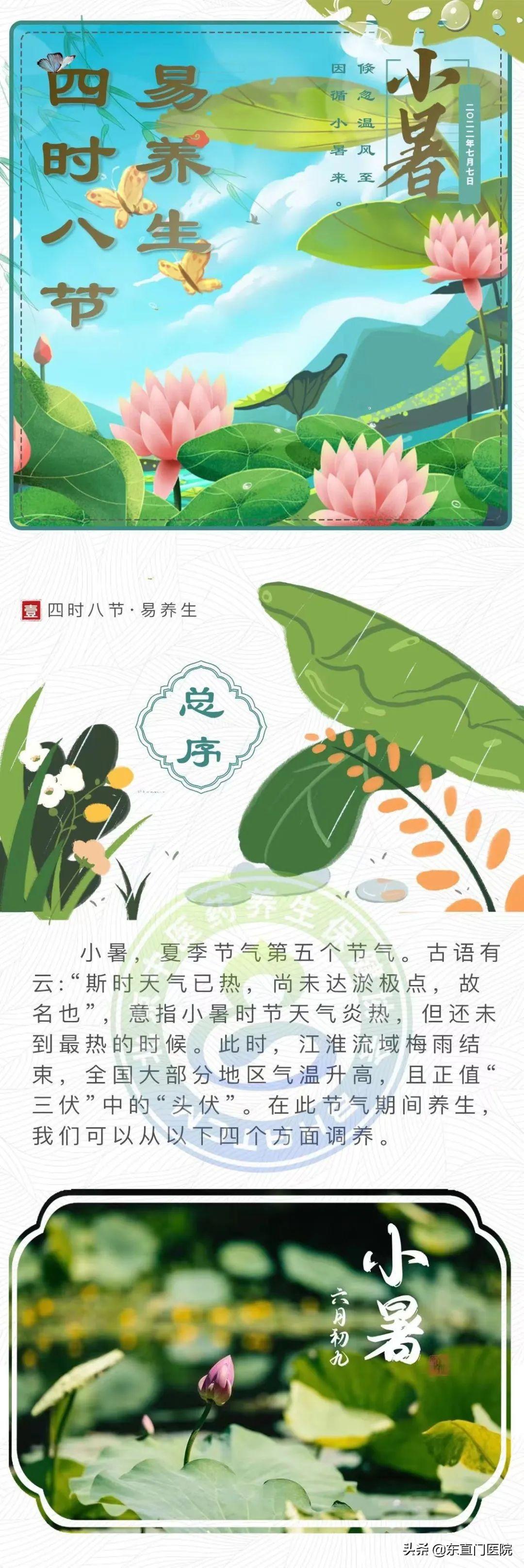 小暑时节，热浪中的生活细语