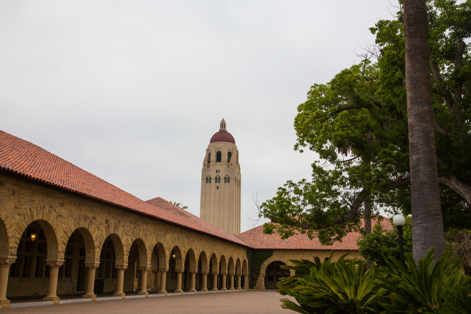 斯坦福大学，学术璀璨明珠的卓越风采