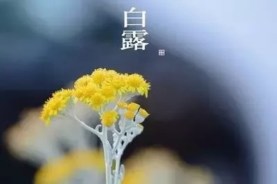 白露时节，秋意渐浓的韵味