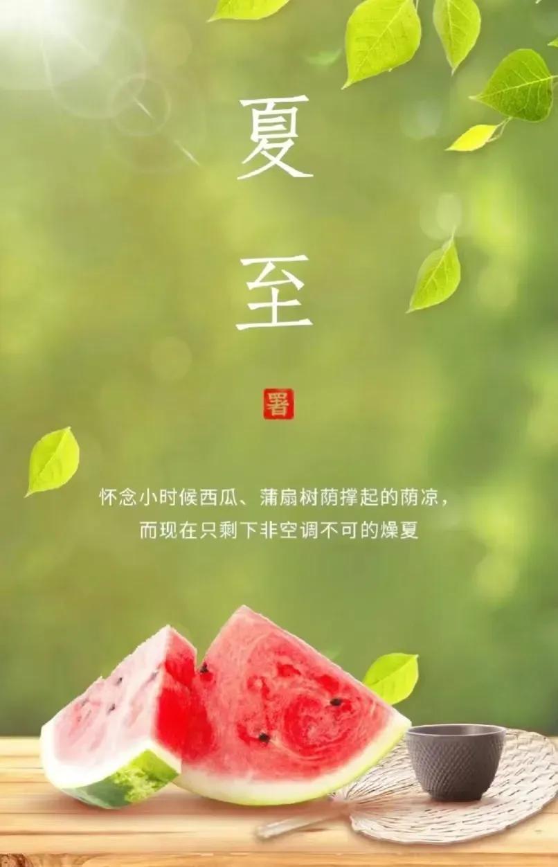 夏至，自然韵律与生命节奏的探寻