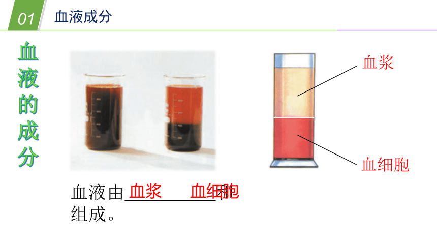 增强型玻璃离子体水门汀I型特性及应用解析